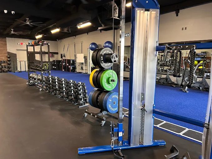 Bumper plates, cable tower and turf sprint lane